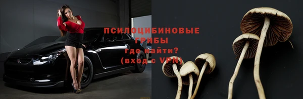 ГАЛЛЮЦИНОГЕННЫЕ ГРИБЫ Киренск