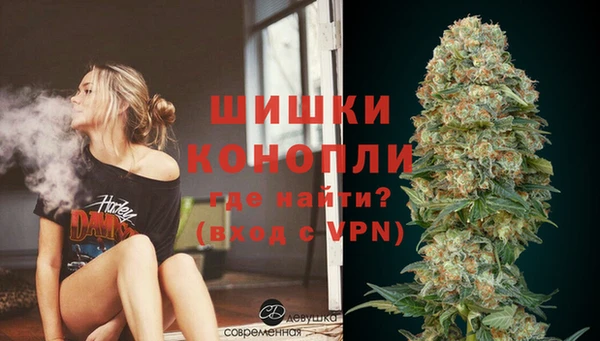прущие грибы Киреевск