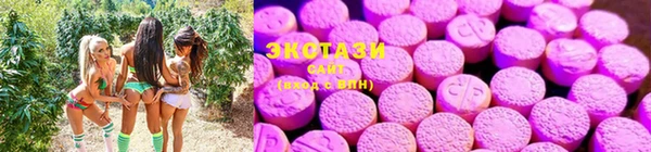 ГАЛЛЮЦИНОГЕННЫЕ ГРИБЫ Киренск