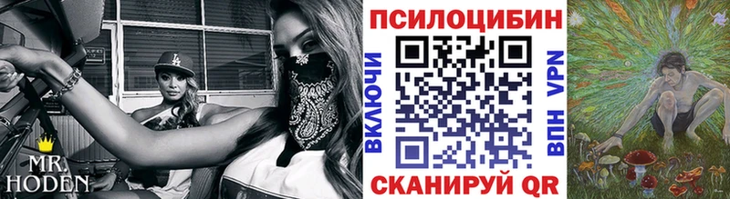 Галлюциногенные грибы Magic Shrooms  Холмск 